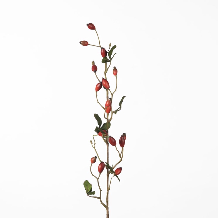 AF Rosehip Zaffiro Sp L84cm Re