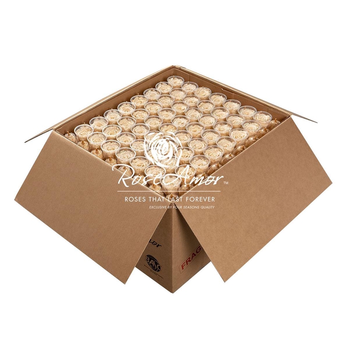 <h4>Xl Bulk Cha01</h4>