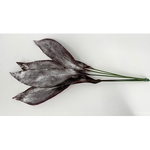 Aspidistra Painted Bordeaux Glitter Silver