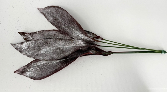 <h4>Aspidistra Painted Bordeaux Glitter Silver</h4>