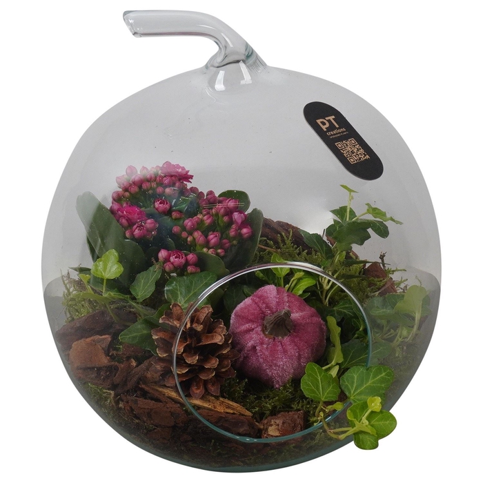 <h4>Arr.   Planten H%</h4>