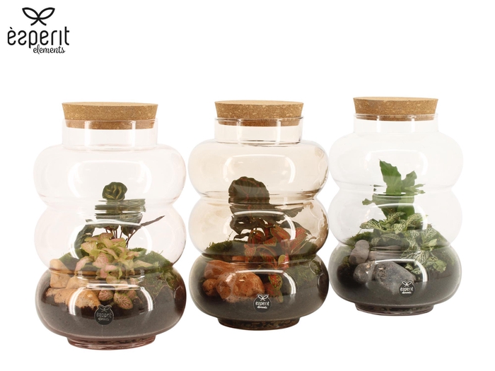 <h4>90692: Terrarium arrangement</h4>