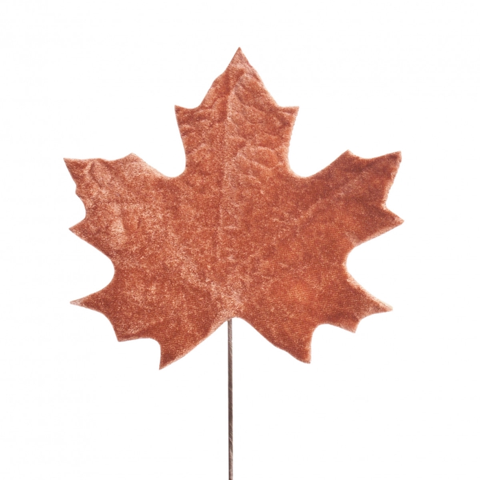 <h4>Autumn 10cm Leaf 13cm</h4>