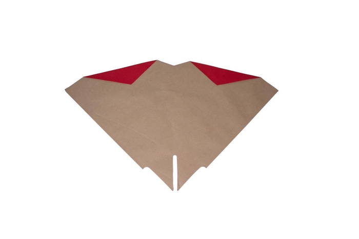 <h4>HOES KRAFT BLOS ROOD</h4>