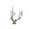 Syringa Branch Super Astorga