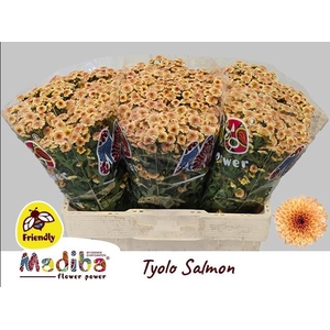 CHR SAN MAD TYOLO SALM