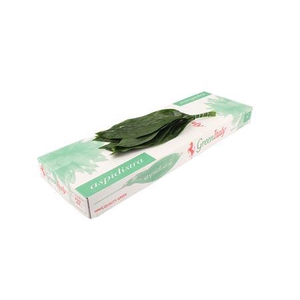 Deco Gr Aspidistra (60 Cm)p.bs