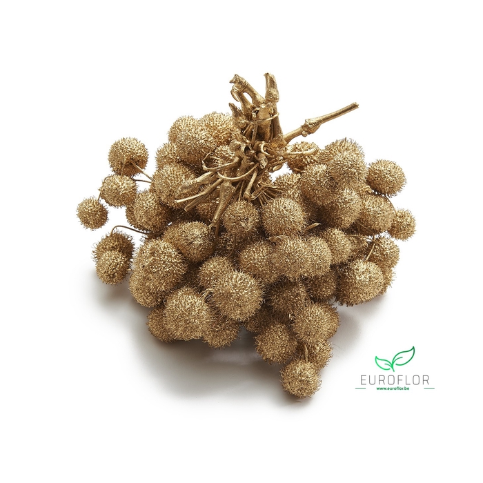 <h4>PLATAAN BALL GOLD</h4>