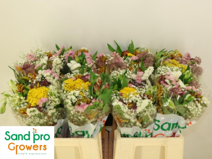 <h4>GEM ZOMERBOEKET</h4>