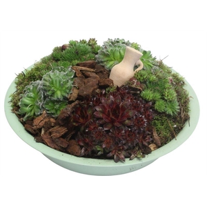 4425 ZINK GROEN SEMP