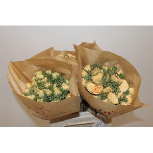 Anem Marianne Powder Abricot