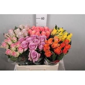 R Gr Gemengd In Fust B1