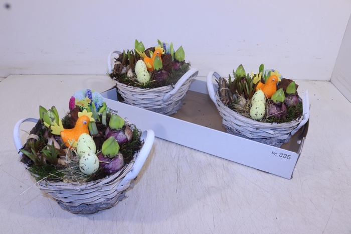 <h4>ARR BOL KNOLGEWAS</h4>