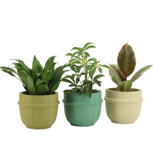 7501372: Solutionss Consideration