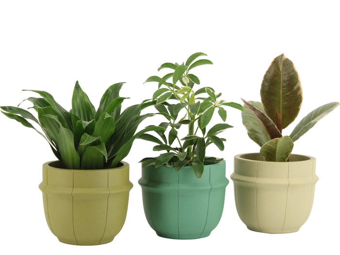 <h4>7501372: Solutionss Consideration</h4>