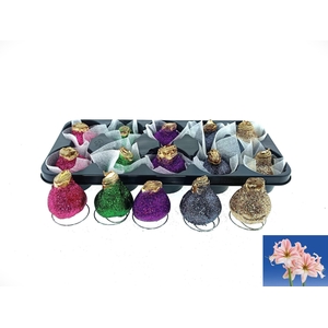 BLOEMBOL HIPPEASTRUM