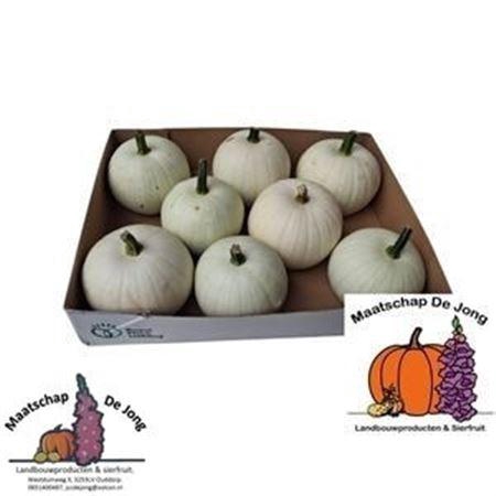 <h4>Sier Cuc P Snowball X9</h4>