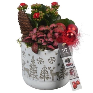 Opm Pt PTCHR7304 X-mas Red Beton Pot