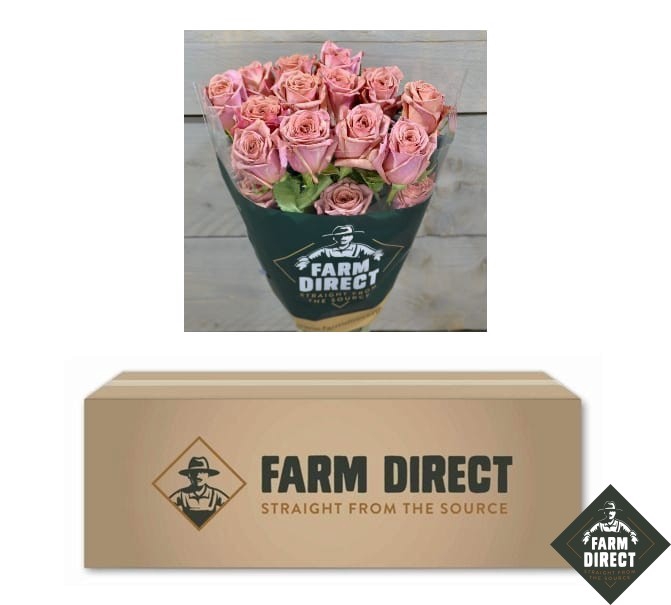 <h4>R GR BARISTA (BOX)</h4>