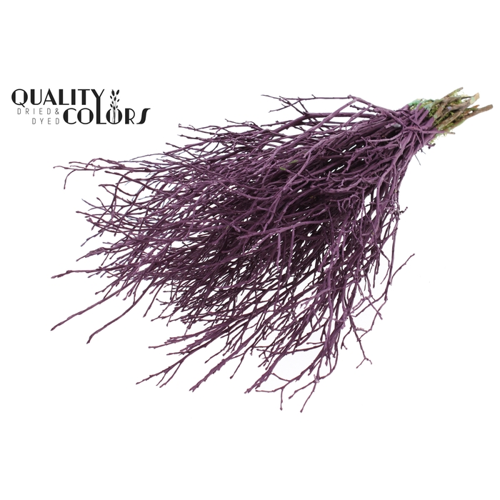 <h4>Huckelberry per bunch Burgundy</h4>