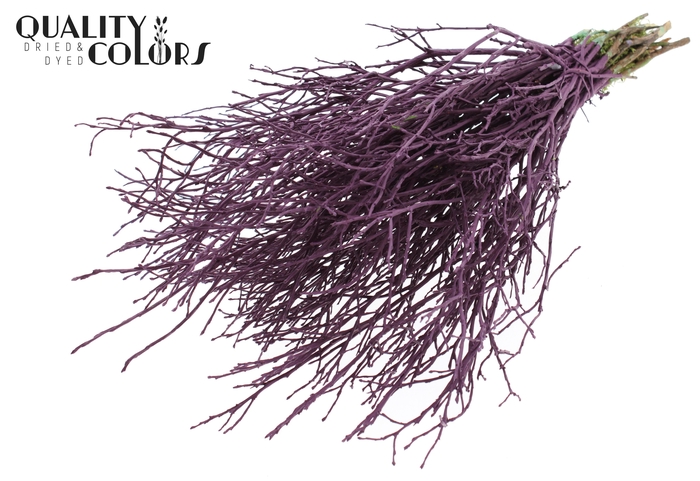 Huckelberry per bunch Burgundy