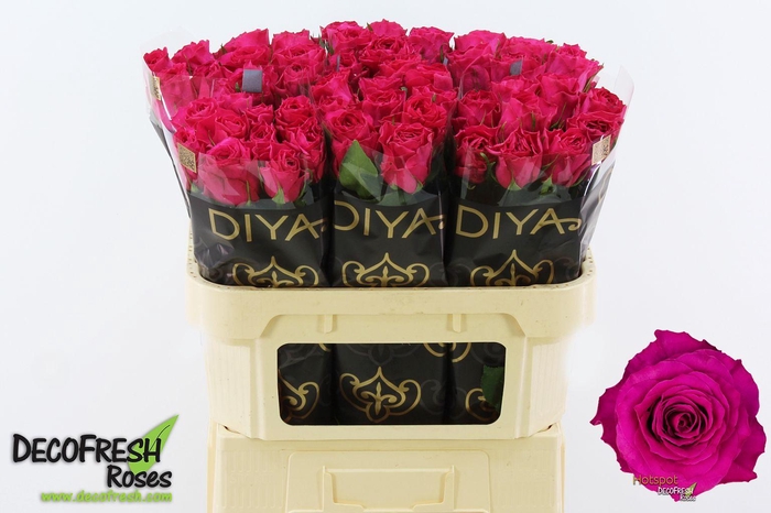 <h4>R Gr Hotspot</h4>