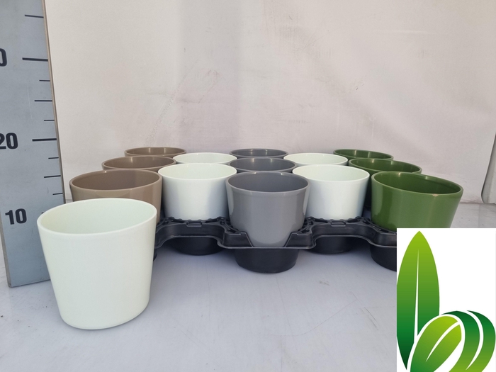 <h4>HUIS EN TUINDECO H%</h4>