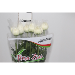 ANASTASIA MAGNUM 080 CM BRANCO