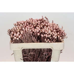 Kaaps Groen Silver Brunia Rose Gold
