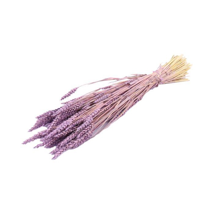<h4>Bunch Triticum Frosted Slv L60</h4>