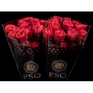 R GR Dark X-pression