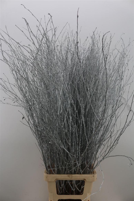 <h4>Berk Lang Gl Zilver Pbs</h4>