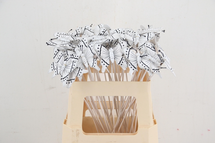 <h4>Stick butterfly wood 7x8cm White</h4>