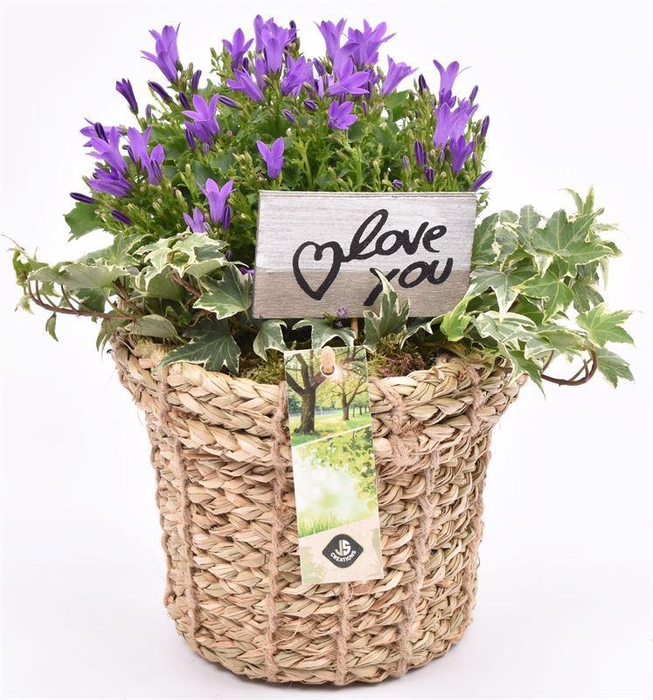 <h4>Touwmand met rand 17cm</h4>