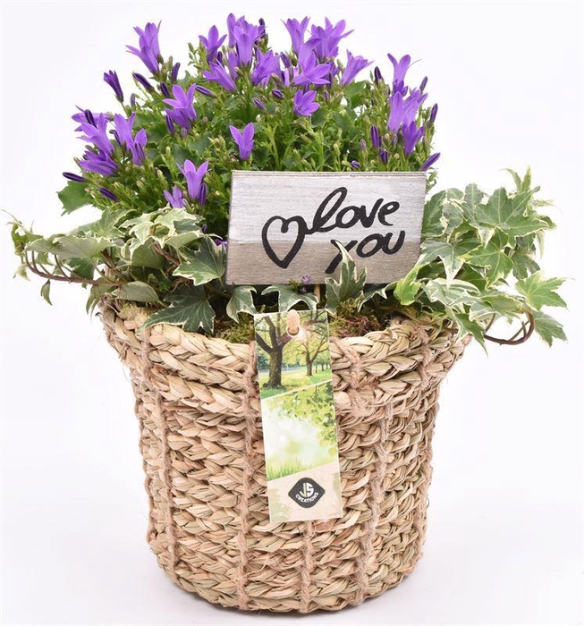 <h4>Touwmand met rand 17cm</h4>