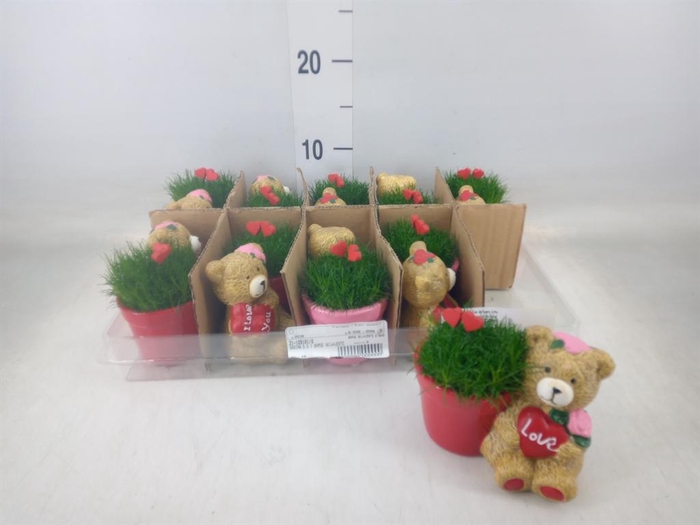 <h4>Arr.   Kamerplant Groen L%</h4>