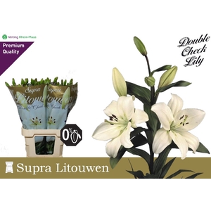 LI LA LITOUWEN 5BL
