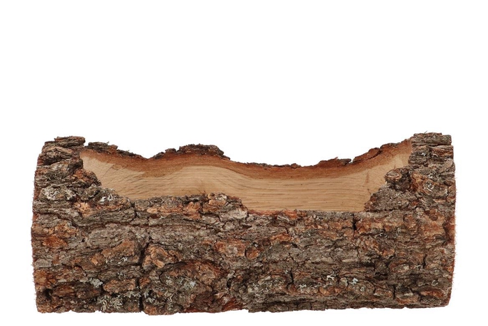 Nature Oak Rectangle 35x16x12cm