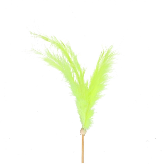 <h4>Sticks 50cm Feather 14cm</h4>