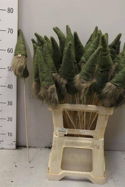 <h4>HUIS EN TUINDECO H%</h4>