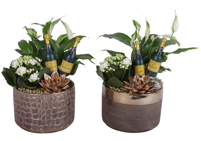 <h4>New Year Arr. Indoor Ceramic Pure Luxury N568 Ø17cm 3PP</h4>