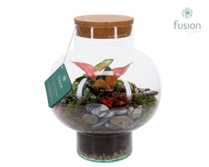 <h4>Green Bottle Laura Medium met Terrarium arrangement</h4>