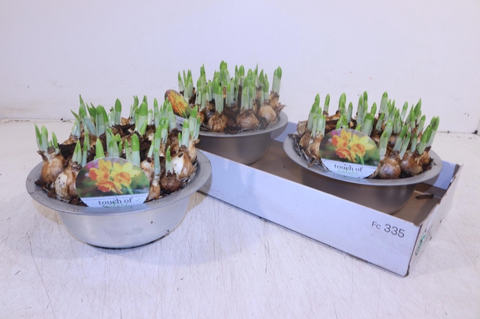 <h4>ARR N TETE A TETE</h4>