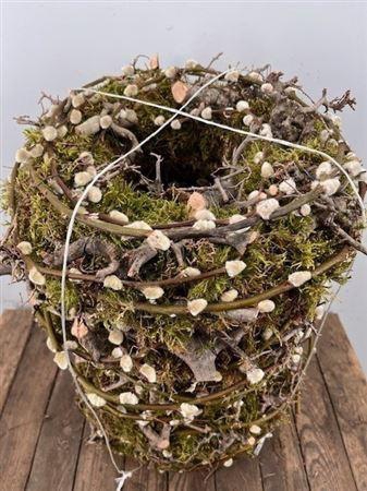 <h4>Wr Moss Bonsai Pussy Willow 30cm</h4>