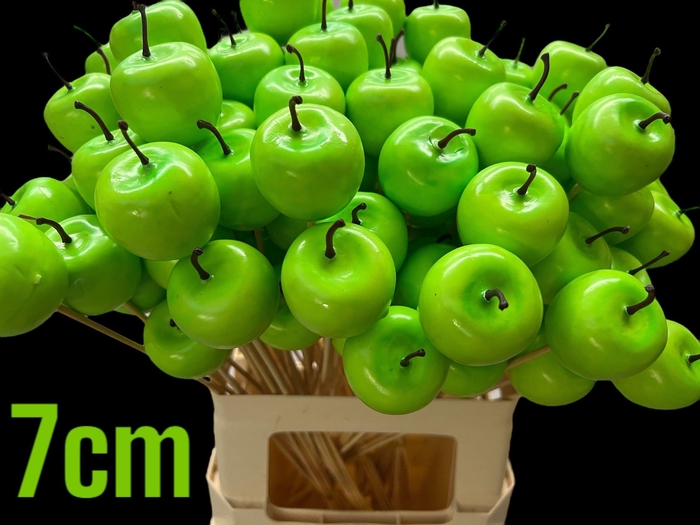 <h4>HUIS EN TUINDECO H%</h4>