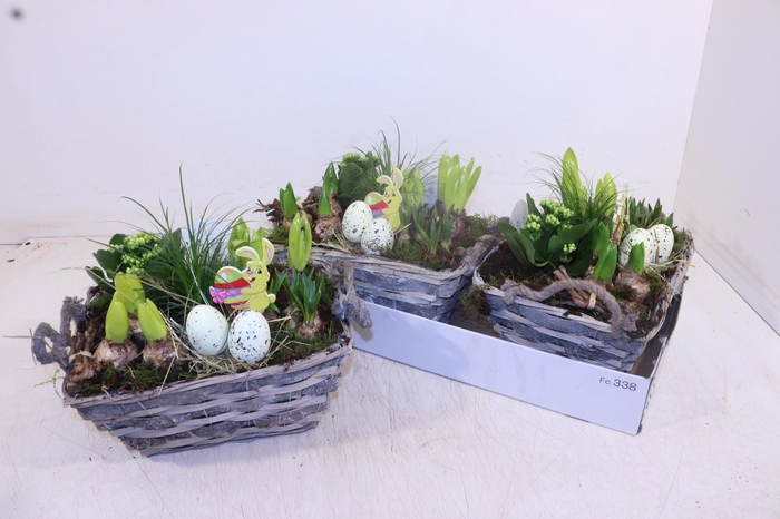 <h4>ARR PL IN SCHAAL</h4>