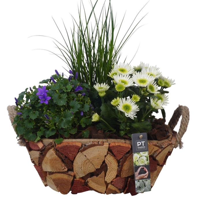 <h4>Arr.   Tuinplanten H%</h4>
