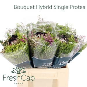 Bouquet Hybrid Single Protea