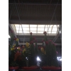 Arrangementen Cactus H%