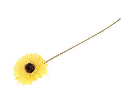 Artificial Flower Germini L50